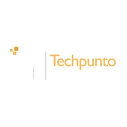 Techpunto IT Solutions