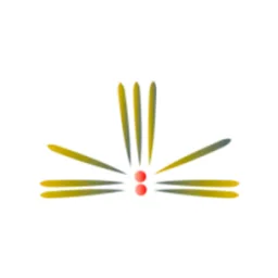 Mac design